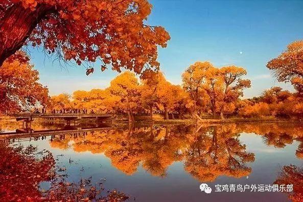 小猫钓鱼开船版最新版下载